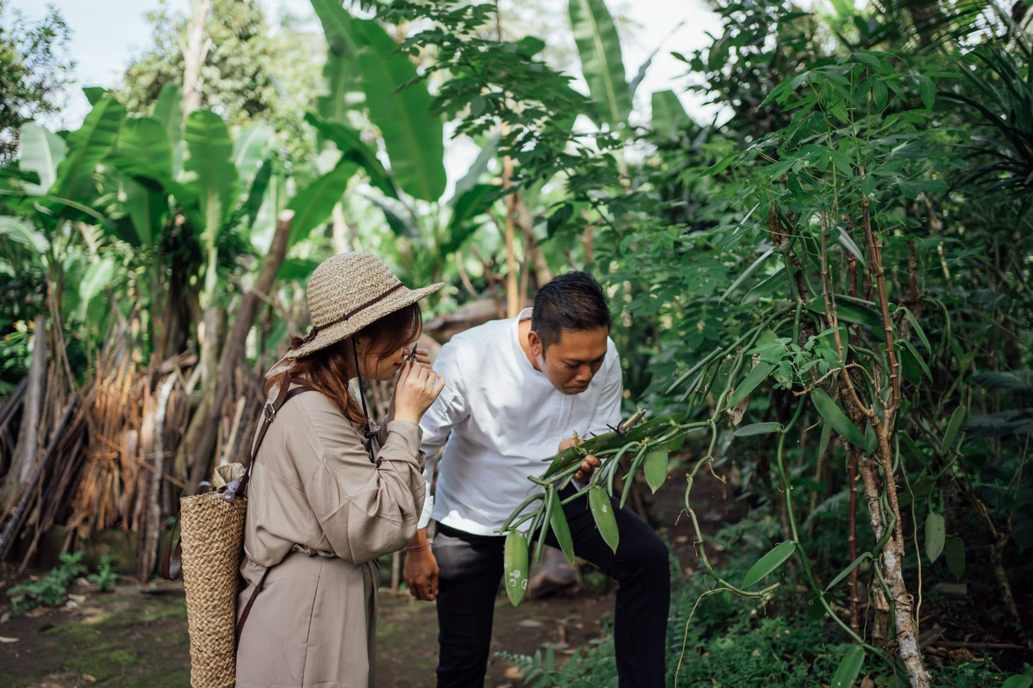 stay for good banyan tree escape buahan foraging Singaperang Village chef eka