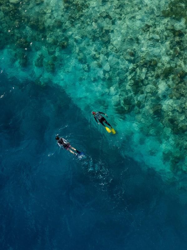 Snorkeling at Banyan Tree Vabbinfaru