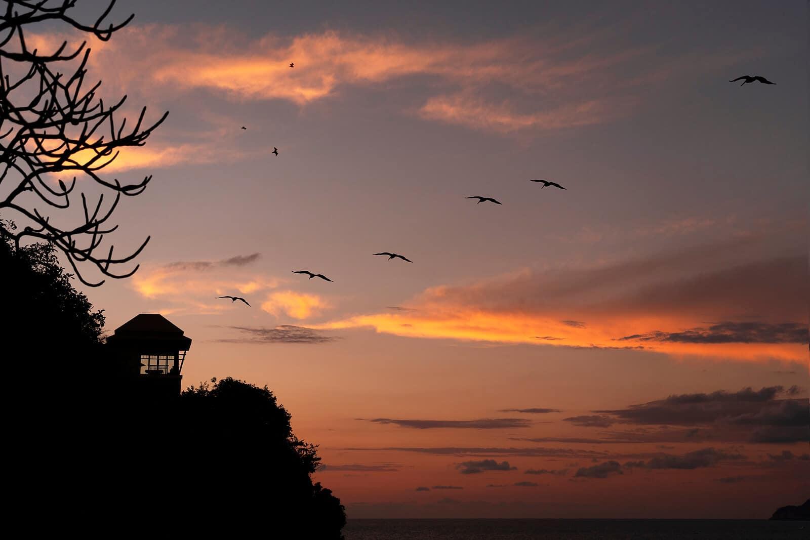 Banyan Tree Cabo Marques Sunset