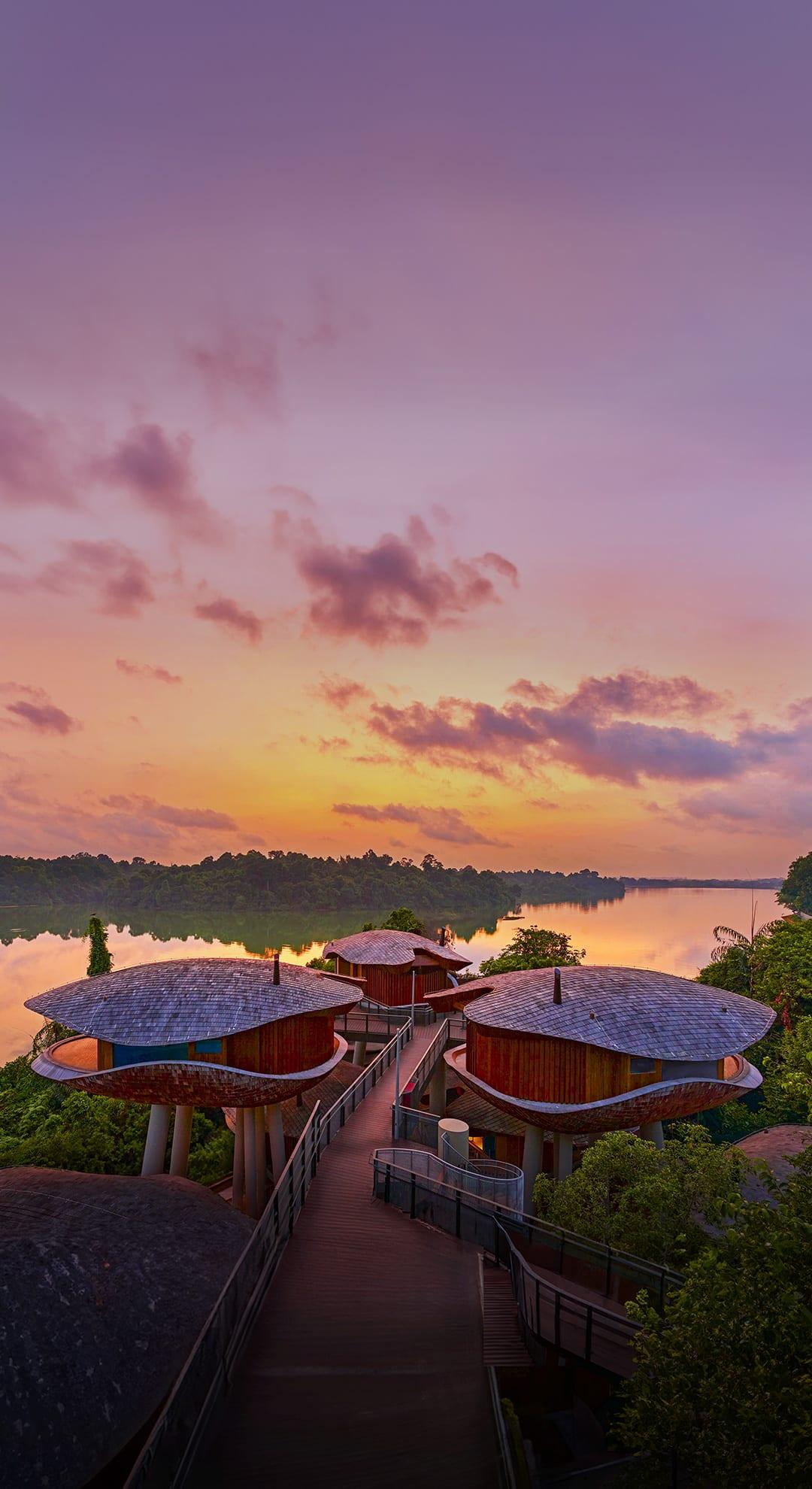 Mandai Rainforest Resort by Banyan Tree