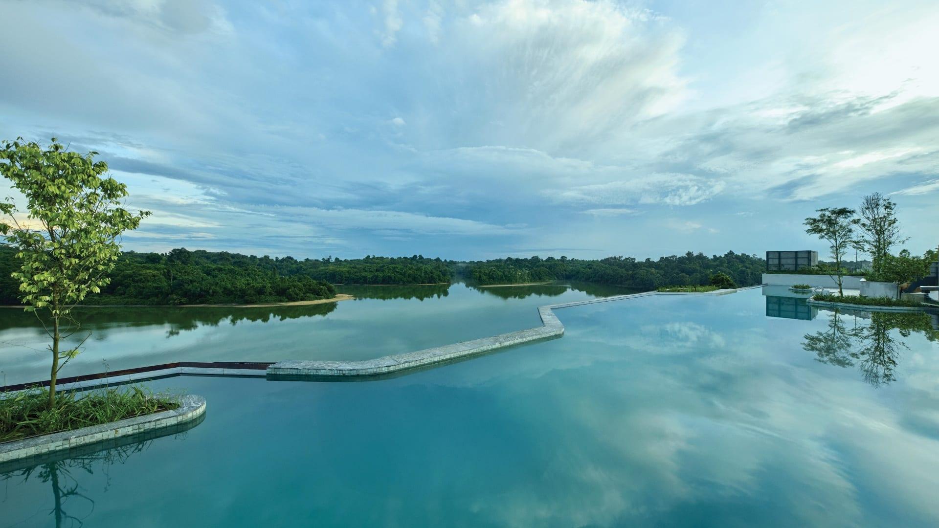 Rooftop Pool at Mandai Rainforest Resort